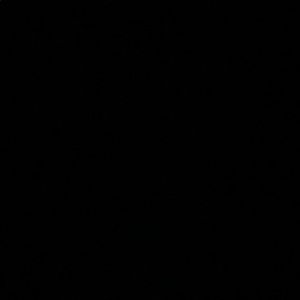 Meet your Posher, Evan